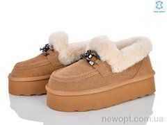 Мир 4625-5808 camel, 6, 36-40