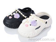SANLIN 2 2309 mix, 12, 36-41