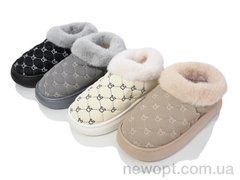 Lion JHA6 mix, 24, 36-41