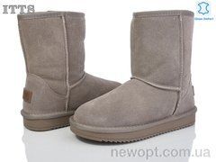 ITTS 5825-21, 6, 36-41