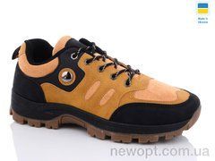 Swin 10029-3, 8, 40-45