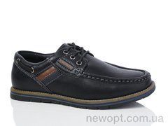 Laguna C6773, 8, 31-36