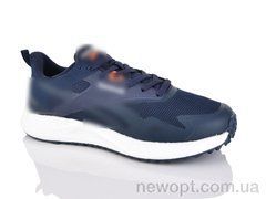 Dan Marest A2836-3, 8, 41-45