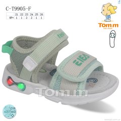 TOM.M C-T9905-F LED, 8, 21-26
