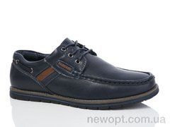 Laguna D5773-1, 8, 36-41