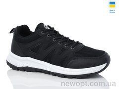 Swin 10612-1, 8, 40-45