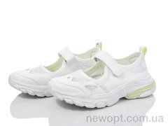 KIMBOO FG2515-3L, 8, 31-36