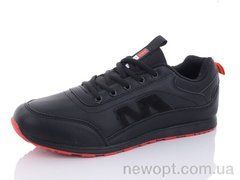 Pet 3121-3, 8, 41-46