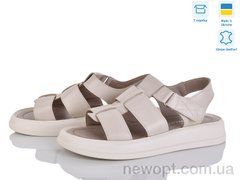 Fat Fox-Tamei 6109-1, 8, 36-40
