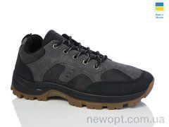 Swin 10031-2, 8, 40-45