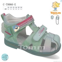 TOM.M C-T9966-E, 8, 21-26