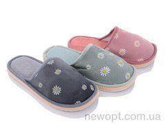 Favorit SP006 mix, 12, 36-41