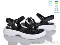 Ailinda 1775B-2, 6, 36-40