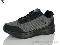 Red Sun FA26, 8, 41-46