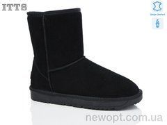 ITTS GG8825, 6, 41-43