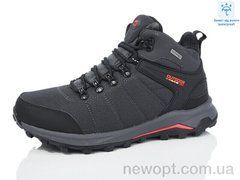 Boteli M369-2, 8, 41-46