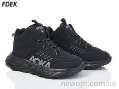 FDEK R9061-1, 8, 36-41
