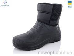 Acorus CM322, 8, 41-45