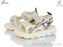 BBT L603-2-5 LED, 8, 26-31