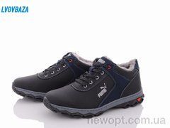Lvovbaza Cardinal ТМ2 пр сп, 8, 40-45