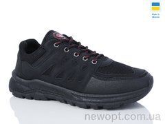 Swin 10611-1, 8, 40-45