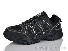 Ditof HA0024-1, 8, 41-45