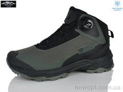 Baas W6026-19C, 8, 41-46