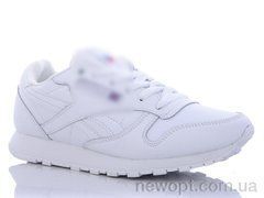AOKA A3087-16, 8, 41-45