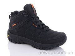 Boteli M361-3, 8, 41-45