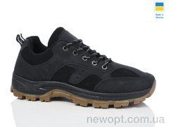 Swin 10031-1, 8, 40-45