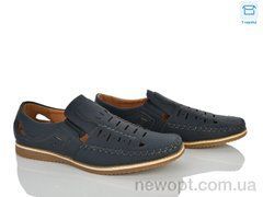 Захар-Gold WF81427-2, 8, 41-46