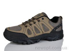 Ditof HA0024-2, 8, 41-45