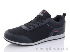 Pet 3127-8, 8, 41-46