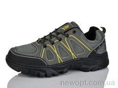 Ditof HA0024-3, 8, 41-45