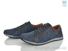 Захар-Gold WF81578-2, 8, 41-46
