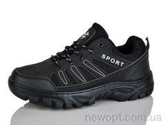 Ditof HA0026-1, 8, 41-45