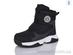 Alimama-Girnaive AF24016, 8, 32-37