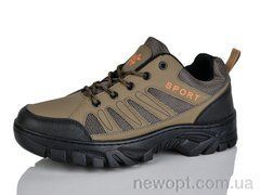 Ditof HA0026-3, 8, 41-45