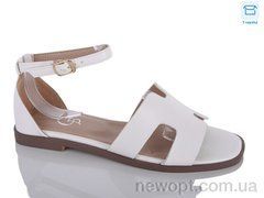 Hongquan B8-2, 8, 36-41