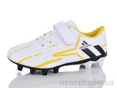 ASHIGULI C09-1, 12, 31-36