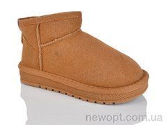 ASHIGULI A315 camel, 12, 32-37