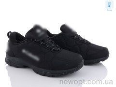 Violeta AA4002-5, 8, 40-45