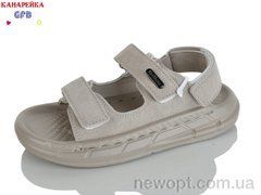GFB-Канарейка R83-6, 10, 31-36