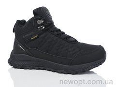Boteli M367-1, 8, 41-46