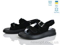 Ailinda 419-1, 6, 36-40