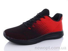 Pet XD004-1, 8, 40-45