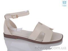 Hongquan B8-3, 8, 36-41