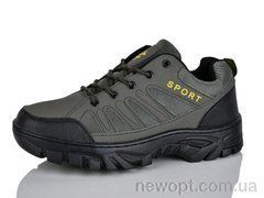 Ditof HA0026-2, 8, 41-45