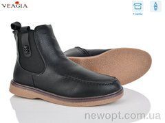 Veagia-ADA D66-1, 8, 36-41