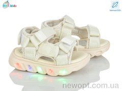 BBT L602-1-7 LED, 8, 21-26